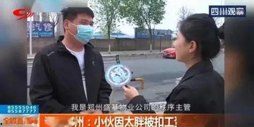 河南观察爆料最新消息,最新消息揭示惊人内幕