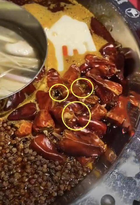 火锅店爆料视频大全最新,揭秘行业幕后真相